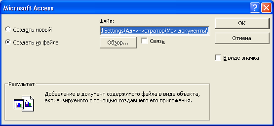 Окно Microsoft Access при вставке документа Word из файла в таблицу в виде объекта OLE