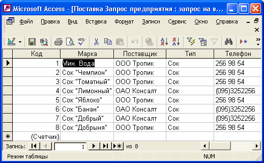 Окно запроса в режиме просмотра