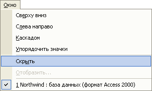 Внешний вид приложения Access 2002
