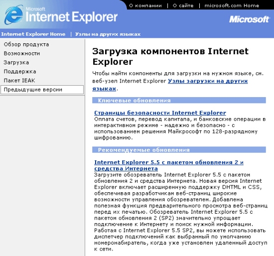 Окно программы Internet Explorer