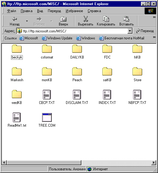 Окно Microsoft Internet Explorer в режиме работы с FТР-сервером