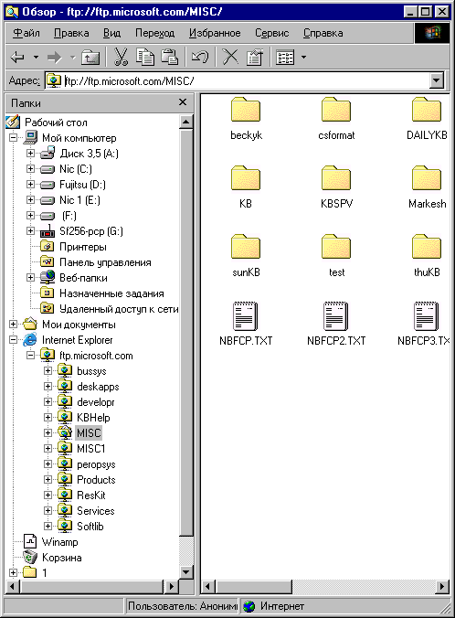 Окно Проводника Windows: работа с-FТР-сервером 