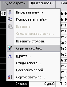Чтобы убрать колонку из таблицы, выделите ее и в контекстном меню выберите команду Hide Column (Скрыть столбец)
