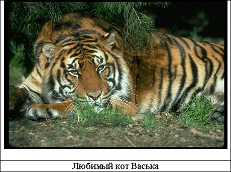 Таблица с рисунком и подрисуночной подписью